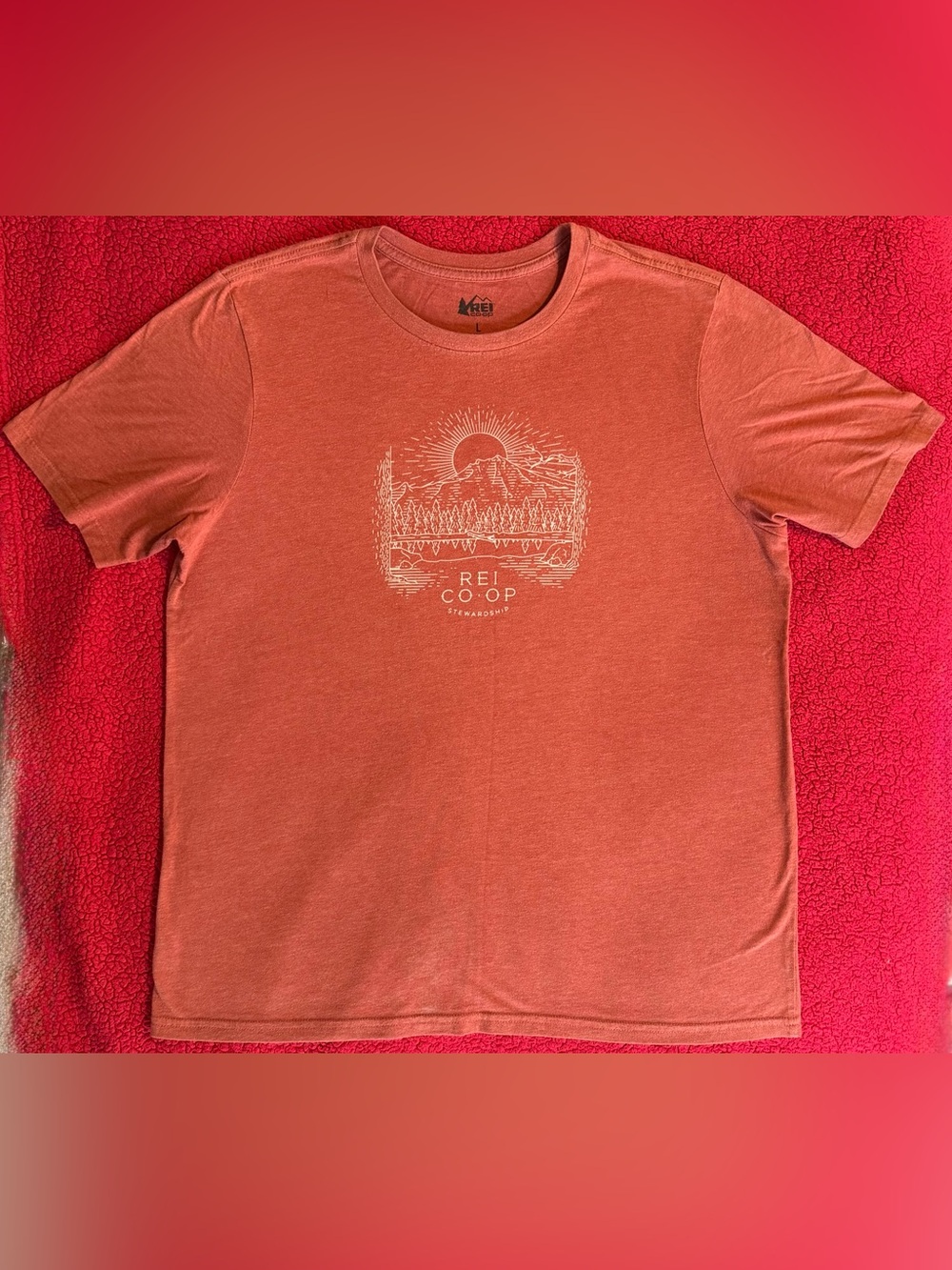 REI Co-op Graphic Tee Organic Cotton Rust Orange Mens L Boxy Outdoor USA